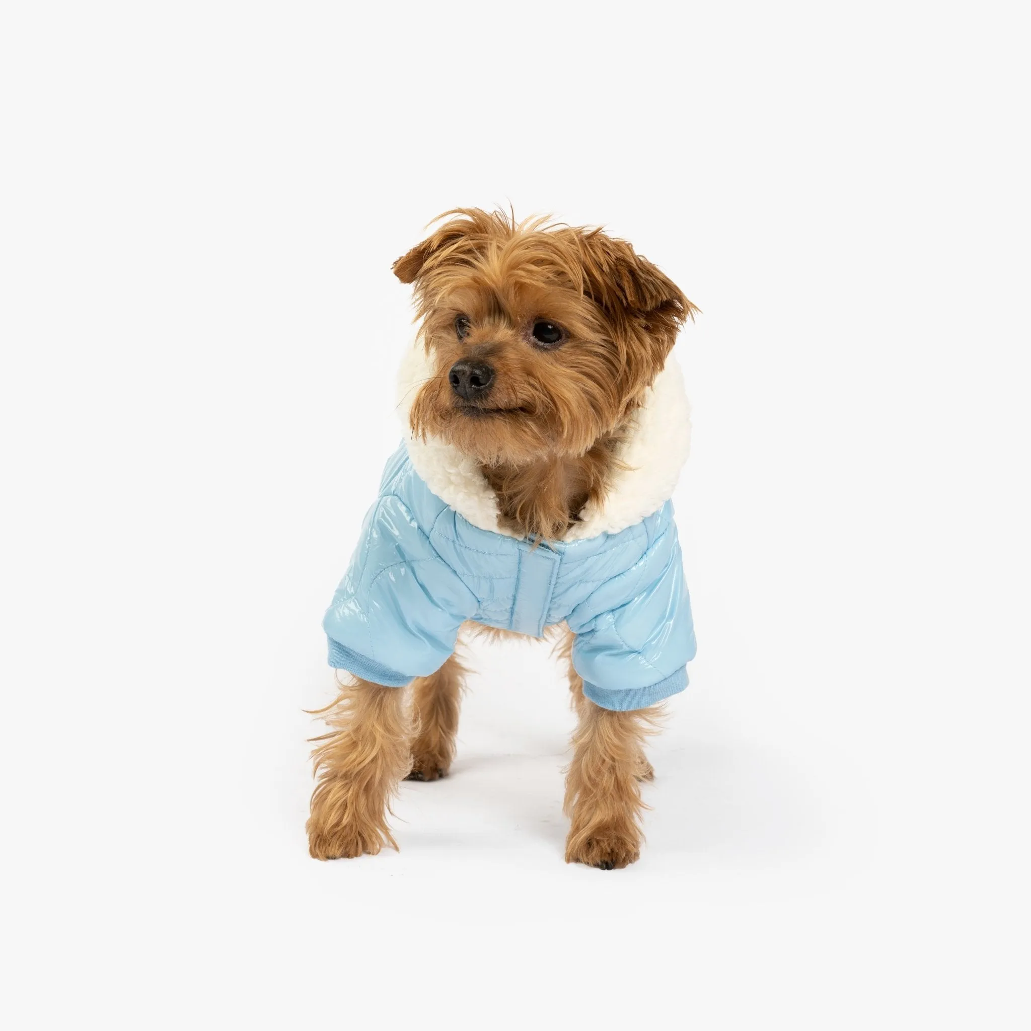 Aspen Dog Jacket