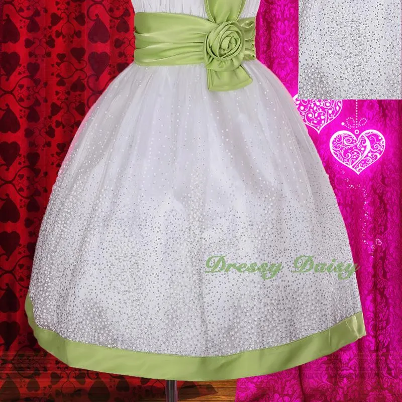 FG209 Girls' Silver Dots Wedding Flower Girl Pageant Party Occasion Dress Size 2-6