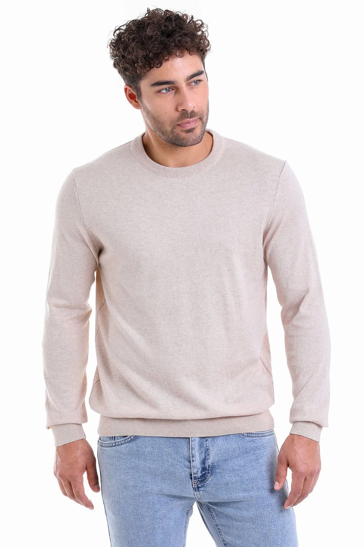 Regular Fit Cotton Beige Crewneck Sweater