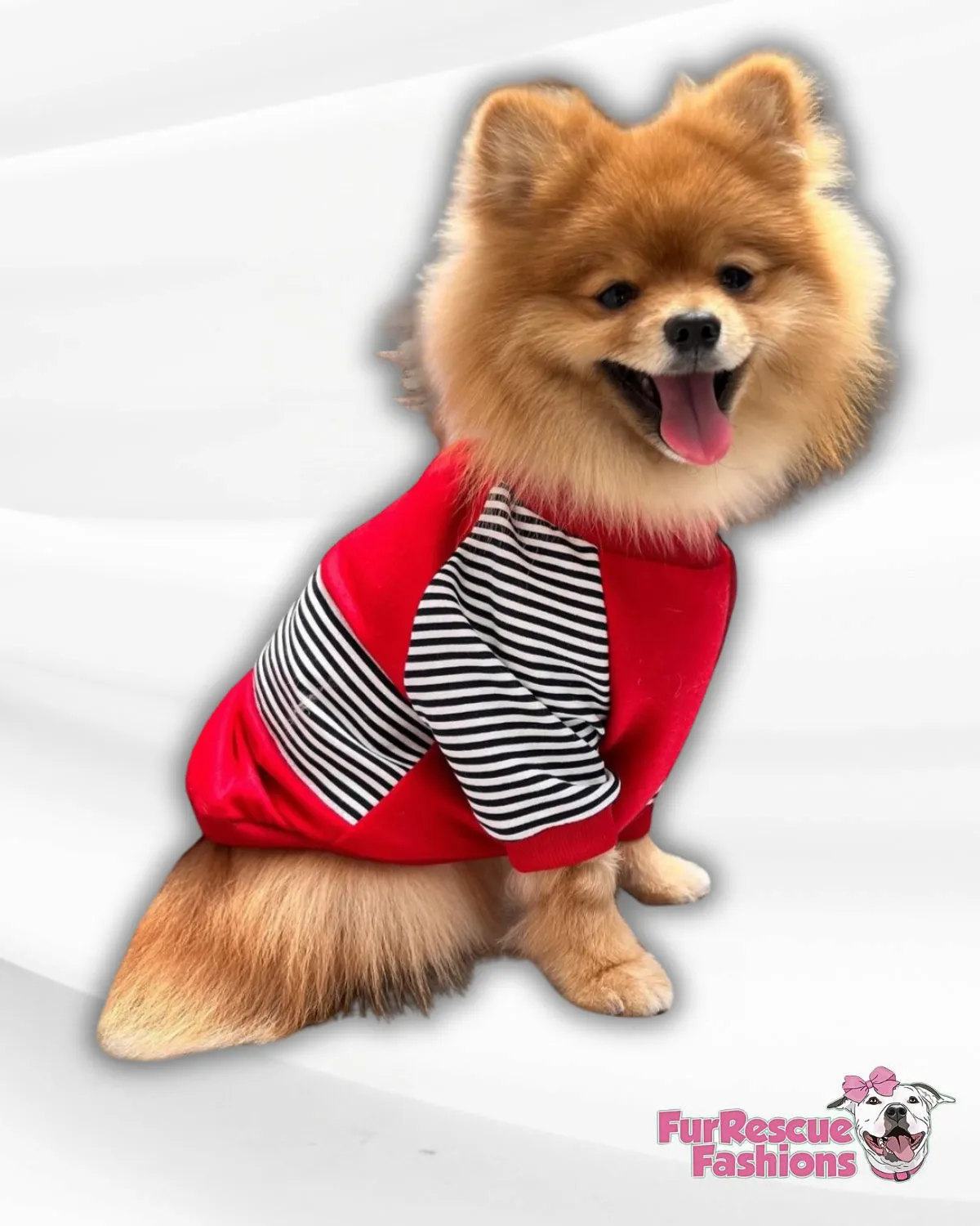 Striped Superstar Dog Tee